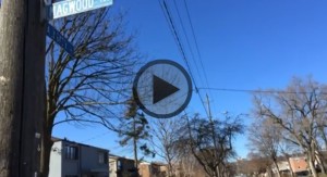 Click on Video to view